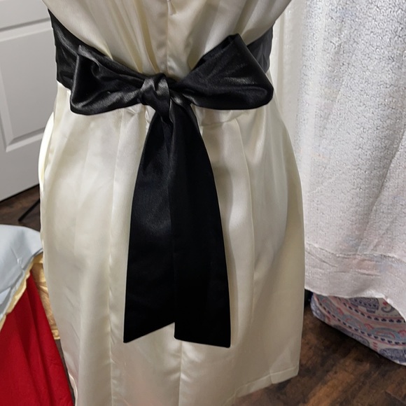 Appropriate Behavior prom dress size 11/12 - Picture 11 of 14